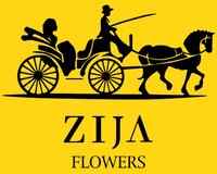  زيجا فلاورز | Zija Flowers