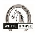  الحصان الابيض | white horse